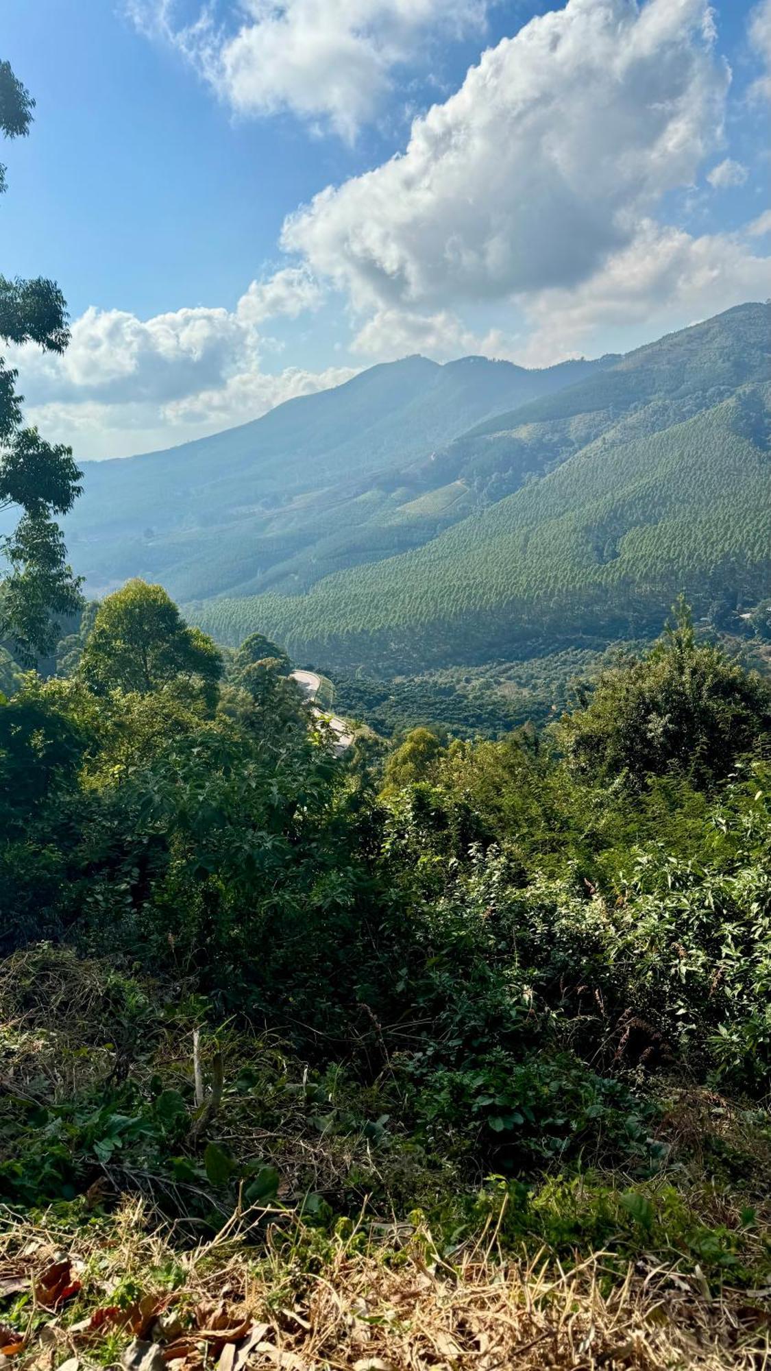 Magoebaskloof Mountain Lodge Tzaneen Buitenkant foto